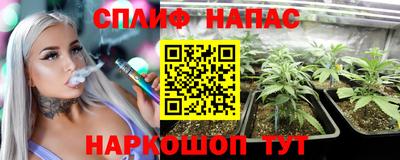 эйфоретик Коммунар